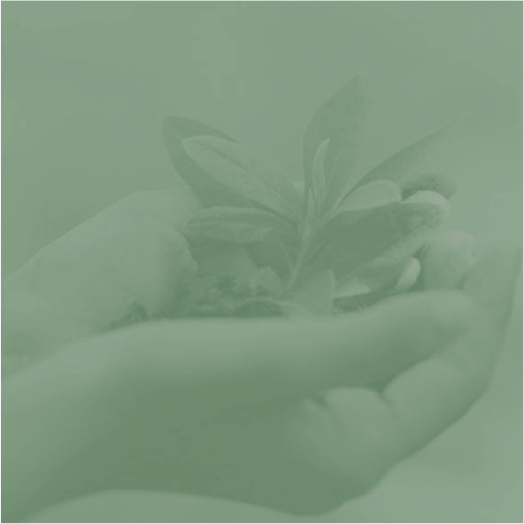 Educación y espiritualidad ecológica